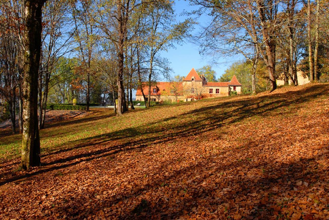 Le Manoir Du Rocher Domme Bagian luar foto