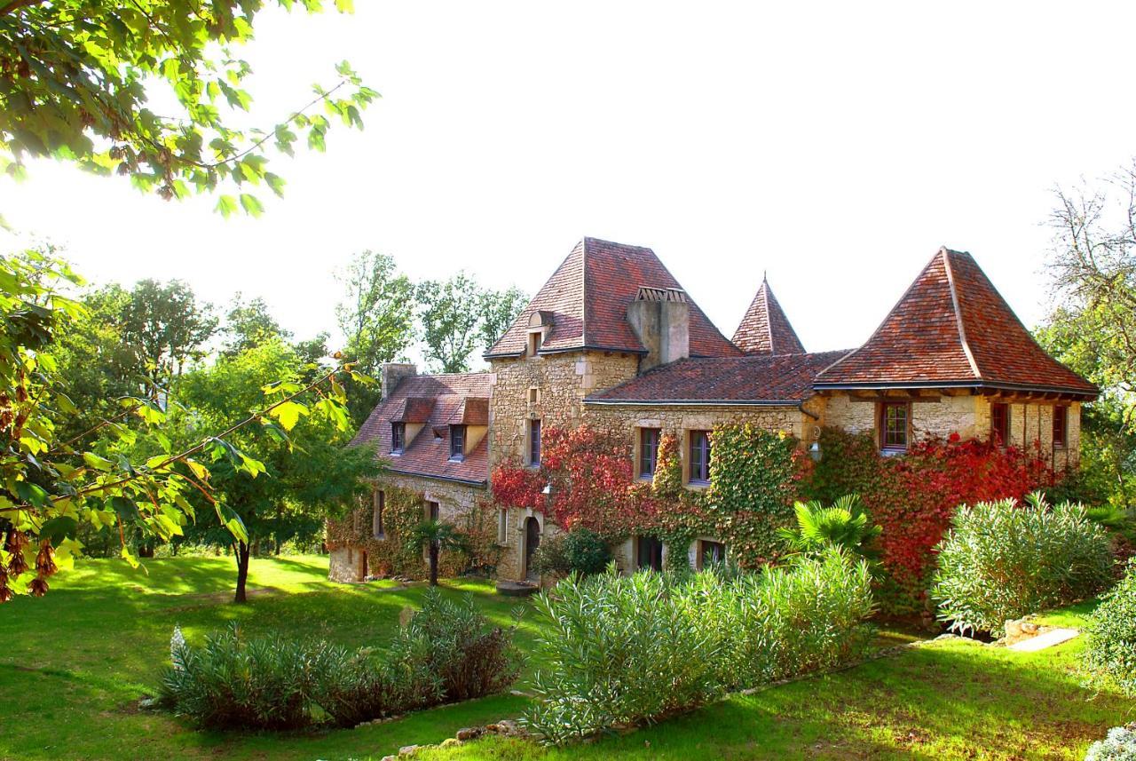 Le Manoir Du Rocher Domme Bagian luar foto