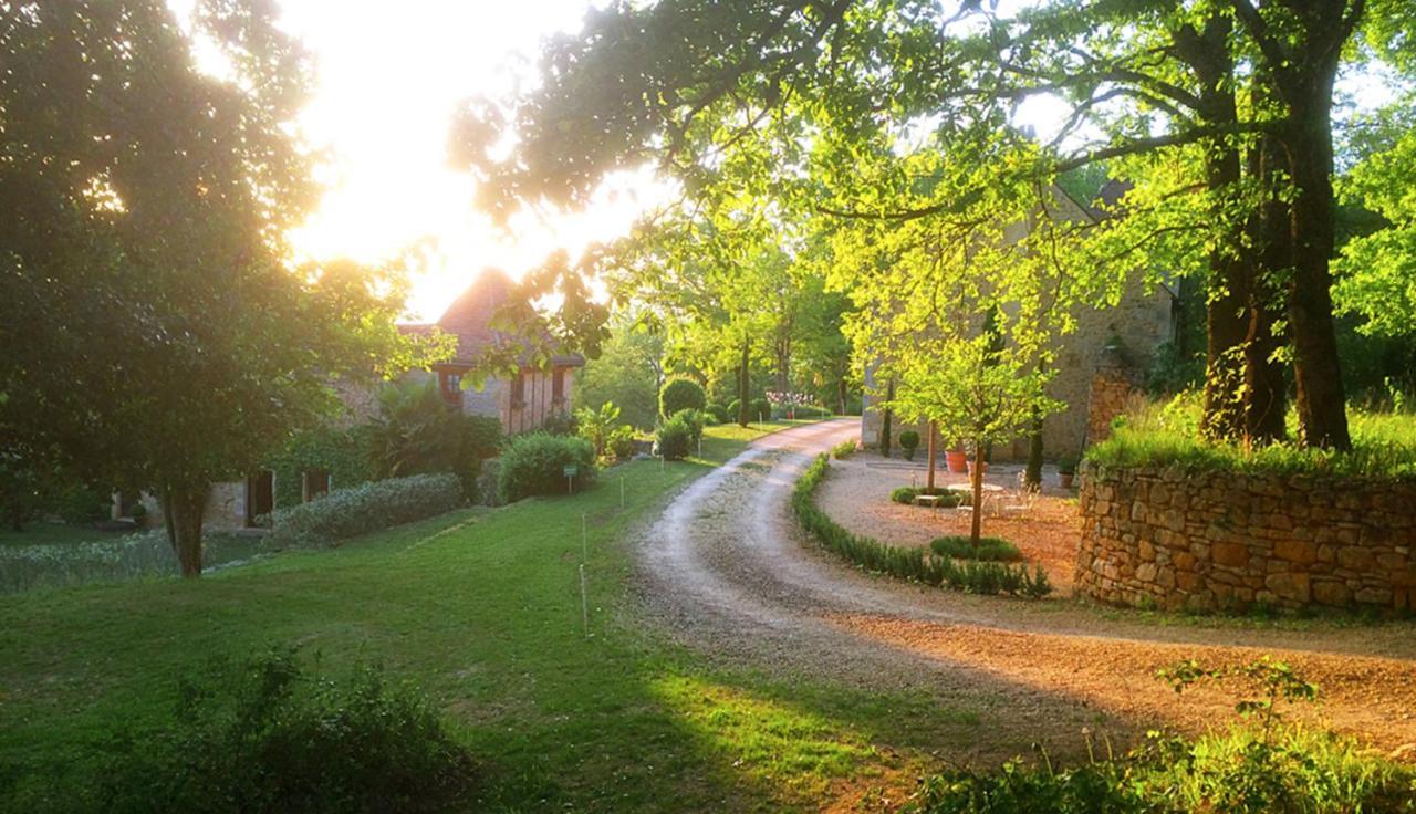 Le Manoir Du Rocher Domme Bagian luar foto